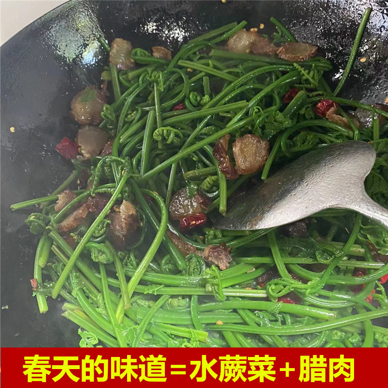 广西桂林特产无污染当天采摘水蕨菜新鲜农家野菜青蕨非山蕨龙爪菜-图2