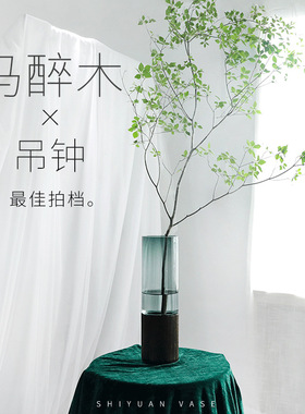 轻奢北欧高级感客厅水养玻璃花瓶