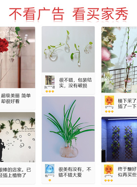 壁挂花瓶水培植物墙上创意挂件