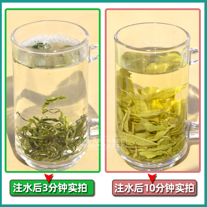 云南春尖茶叶甘肃煮罐罐茶叶浓香耐泡型饭馆用茶散称500g西北生茶,淘宝优惠券,粉丝福利购,淘宝优惠卷