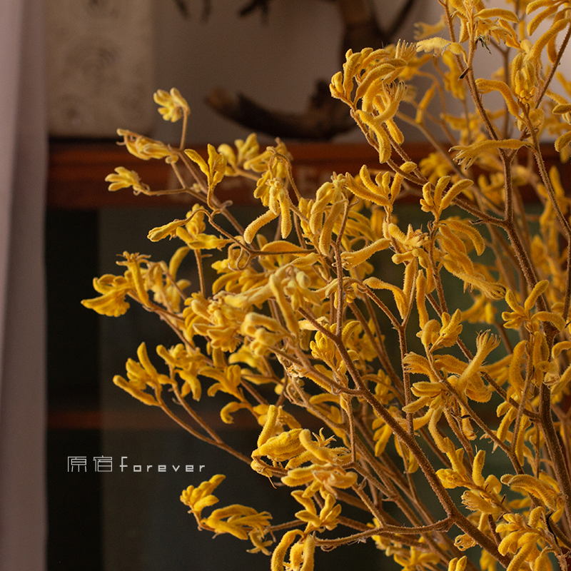 进口干花家居轻奢软装样板间装饰搭配花束金黄色永生花袋鼠爪干枝-图0