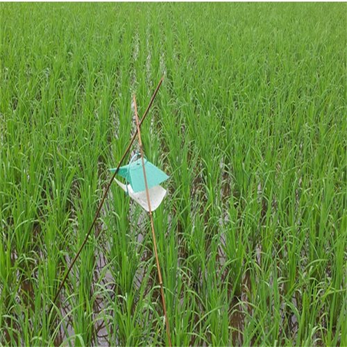 稻纵卷叶螟  性信息素诱芯 昆虫信息素 昆虫性诱剂 包邮 - 图2