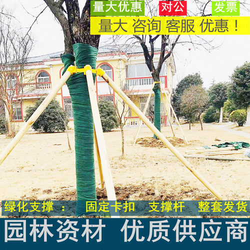 树木支撑架绿化支撑杆苗木固定器植物支撑杉木松木杨木树木防风杆 - 图0