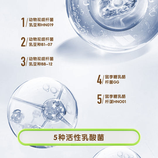 Qihe Qierbacterium five strains of active probiotic lactic acid bacteria