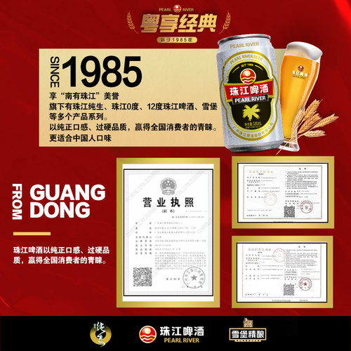 珠江啤酒12度经典老珠江330mL*24罐*2整箱装批发罐装官方旗舰店 - 图3