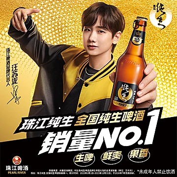 珠江啤酒1997纯生528ml*12瓶装整箱批发[99元优惠券]-寻折猪