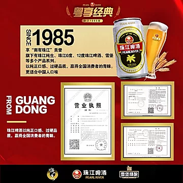 珠江啤酒12度经典老珠江啤酒330mL*12罐[5元优惠券]-寻折猪