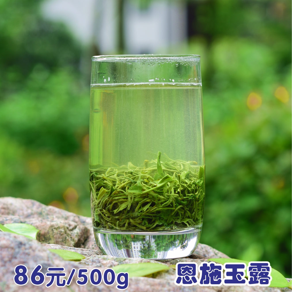 现货2024年新茶恩施玉露毛尖富硒明前春茶绿茶五峰特级茶叶500g-图0