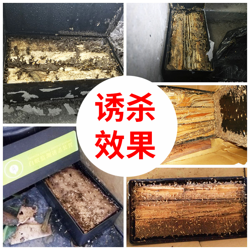 康梓室内白蚁诱杀器白蚁药诱饵盒治白蚂蚁药引诱工具传染灭白蚁窝 - 图1