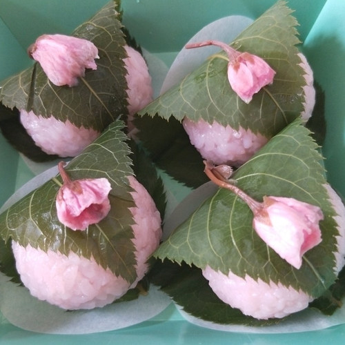 装饰用 绿色/茶色盐渍樱叶50张日式料理寿司长命寺饼盐渍樱花叶 - 图1