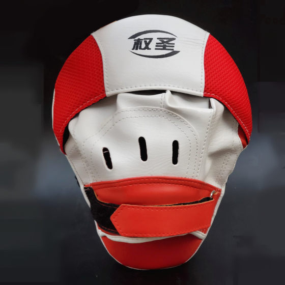 Adult professional training sparring boxer target