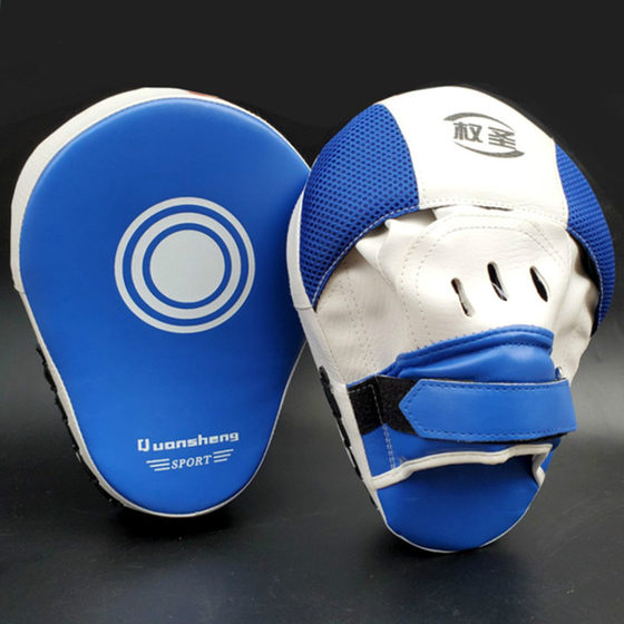 Adult professional training sparring boxer target