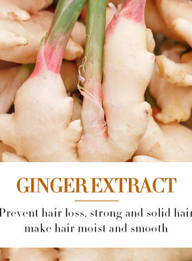 生姜护发精华液 Ginger Essential Oil Natural Hair Growth