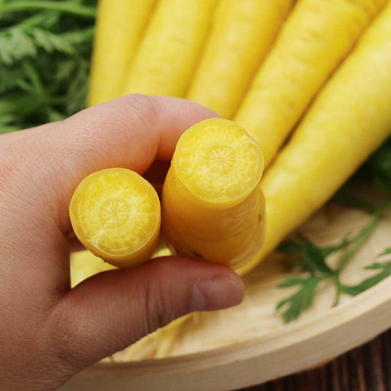 抓饭黄萝卜冰糖心水果胡萝卜农家非有机新鲜蔬菜云南生吃新疆特产,淘宝优惠券,粉丝福利购,淘宝优惠卷