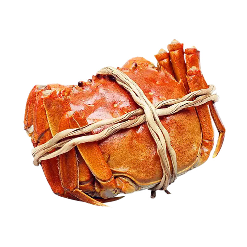 活蟹苏州精品官方阳澄大闸蟹鲜活特大螃蟹公蟹全母蟹4.0现货礼盒,淘宝优惠券,粉丝福利购,淘宝优惠卷