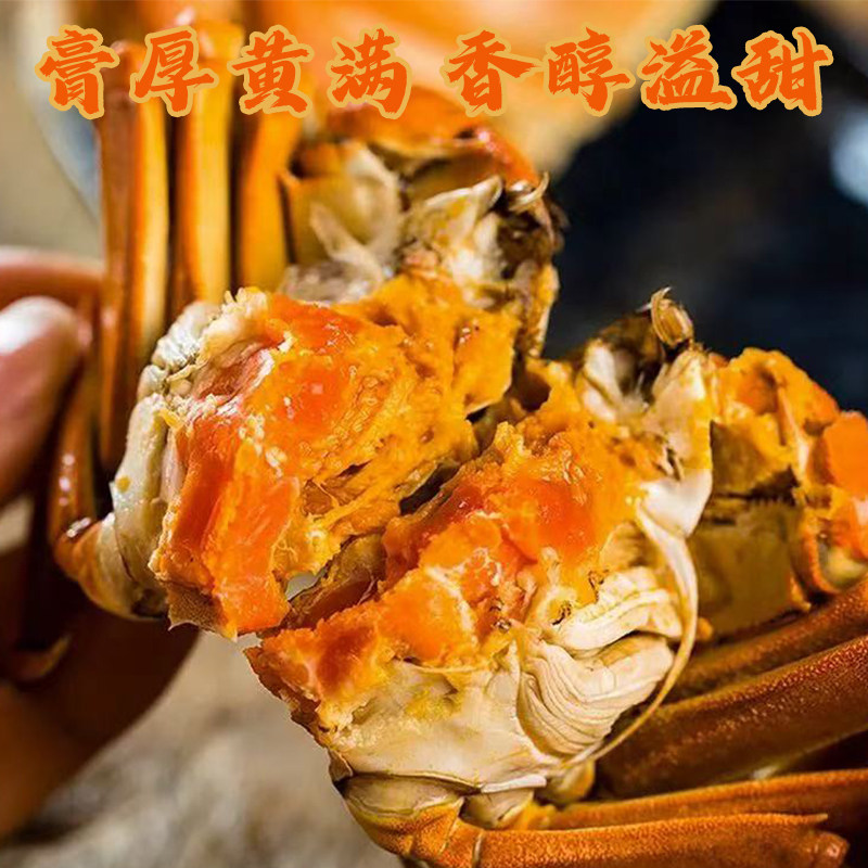 活蟹苏州精品官方阳澄大闸蟹鲜活特大螃蟹公蟹全母蟹4.0现货礼盒,淘宝优惠券,粉丝福利购,淘宝优惠卷