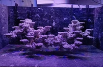 Sea Water Cylinder Built Landscape Stone Artificial Sea Cylinder Coral Stone Instead Of Live Stone Free Burst Algae Semi-hover to build a new hand coral reef