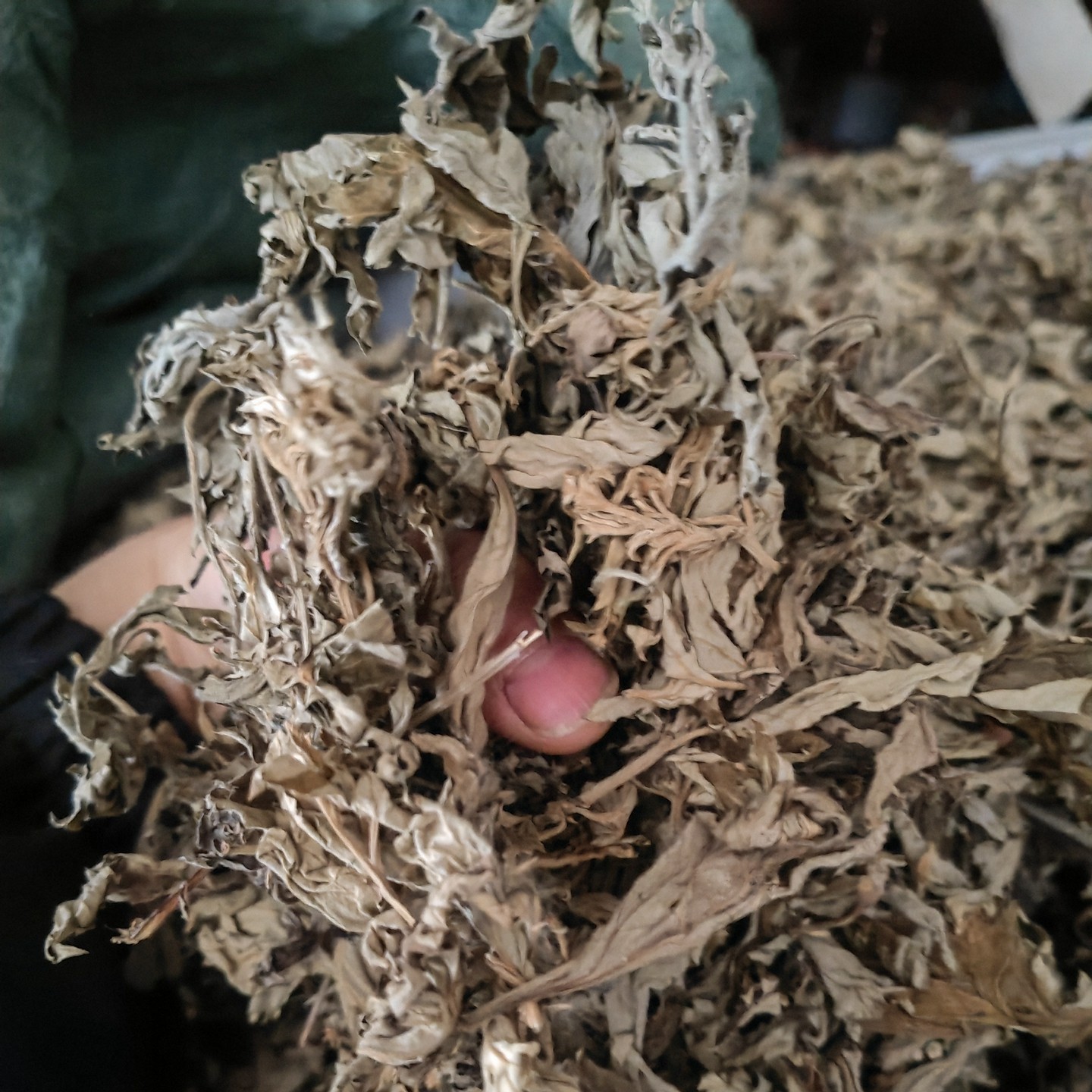 陈蕲艾叶干艾草洗澡小孩月子老艾三年用家用产妇婴幼儿泡脚包洗头,淘宝优惠券,粉丝福利购,淘宝优惠卷