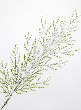 塑料松柏松树枝仿真绿植圣诞节松针diy花环配件家居装饰摆件批发
