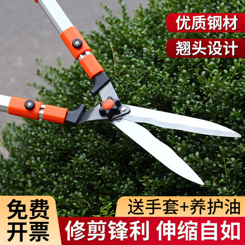 修剪树枝剪刀园艺修花专用茶叶果树剪枝工具园林绿化剪子绿篱剪刀 - 图1