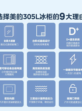 美的305家用冰柜小型冷饮柜迷你雪糕柜大容量商用冷冻冷藏冰箱