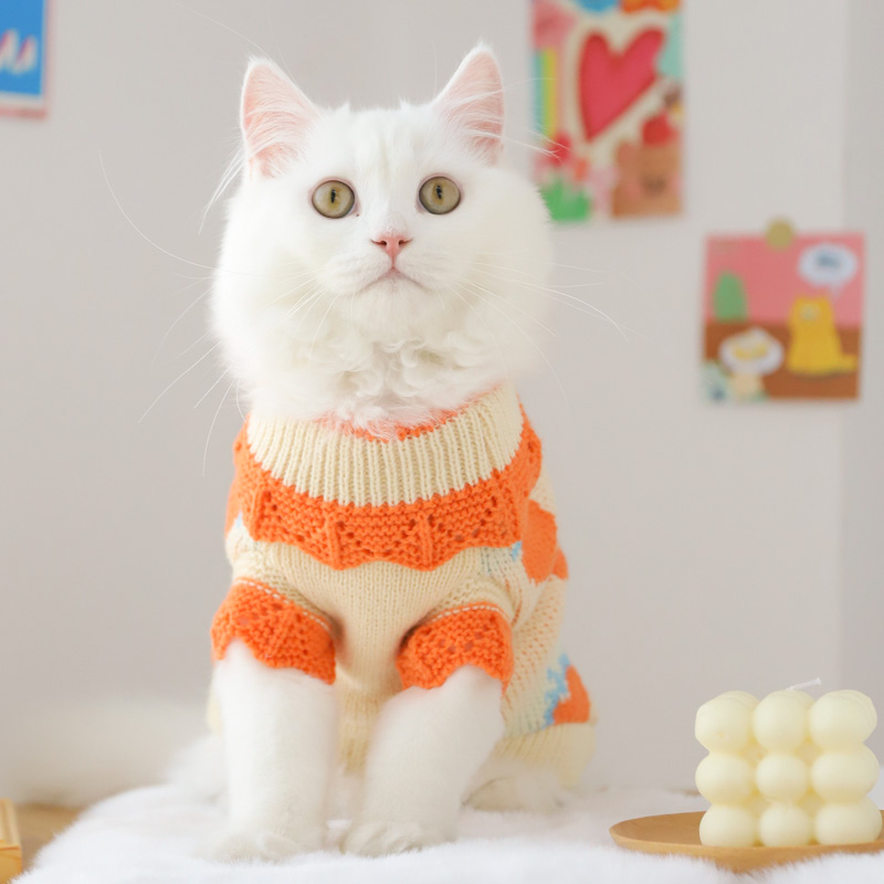 猫咪衣服冬季可爱新年防掉毛秋冬宠物猫猫布偶猫英短小猫毛衣冬天 - 图1