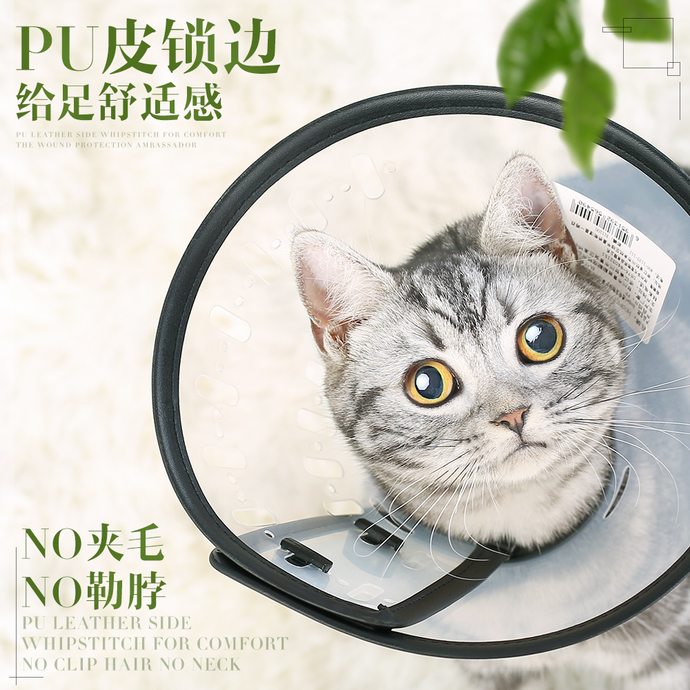 伊丽莎白圈猫咪项圈狗狗脖圈宠物头套防舔头罩伊利沙白圈绝育用品-图1