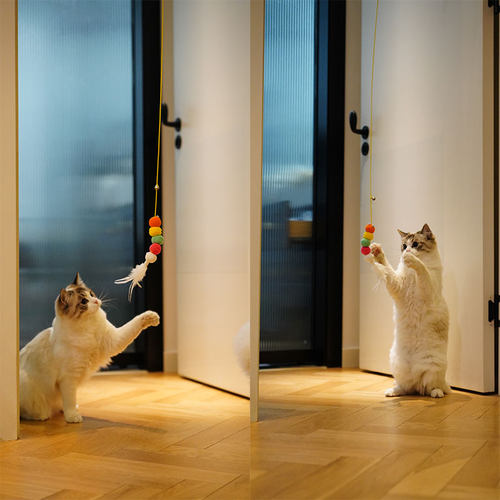 猫玩具自嗨解闷神器荡秋千挂门逗猫棒羽毛猫猫小猫咪消耗体力用品 - 图2
