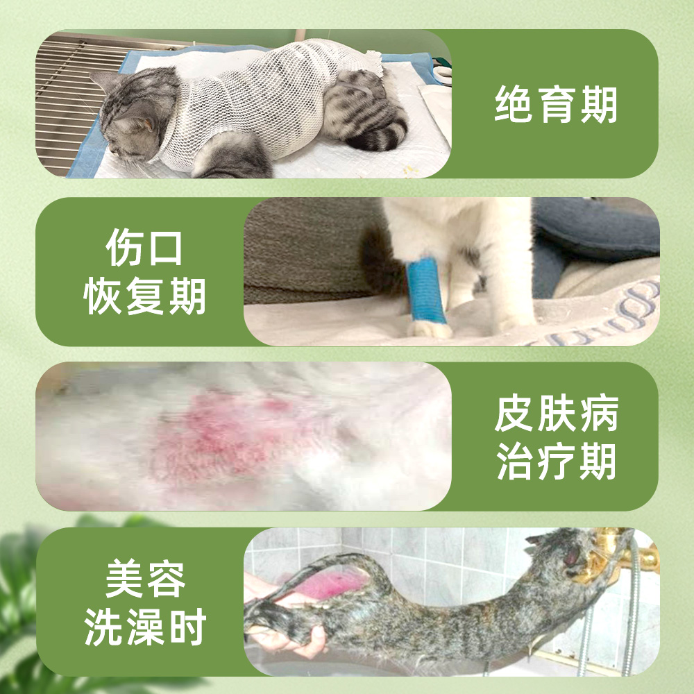 伊丽莎白圈猫咪项圈狗狗脖圈宠物头套防舔头罩伊利沙白圈绝育用品-图2