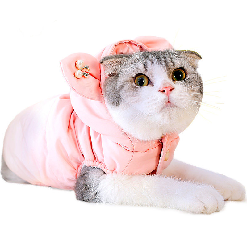 cute kitten clothes