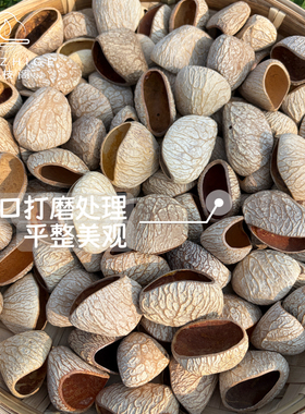 植物果实壳手工音疗治愈系材料