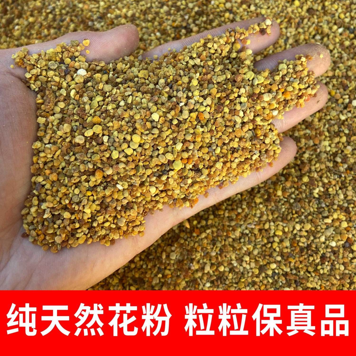 油菜花粉养蜂喂蜂包邮天然蜂用颗粒花粉蜜蜂饲料中蜂专用养蜂花粉 - 图1