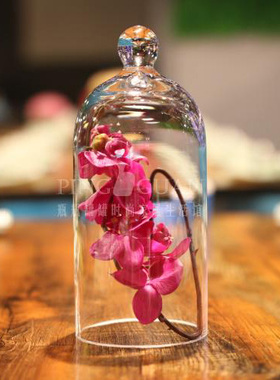 北欧风玻璃罩咖啡馆店铺创意摆件