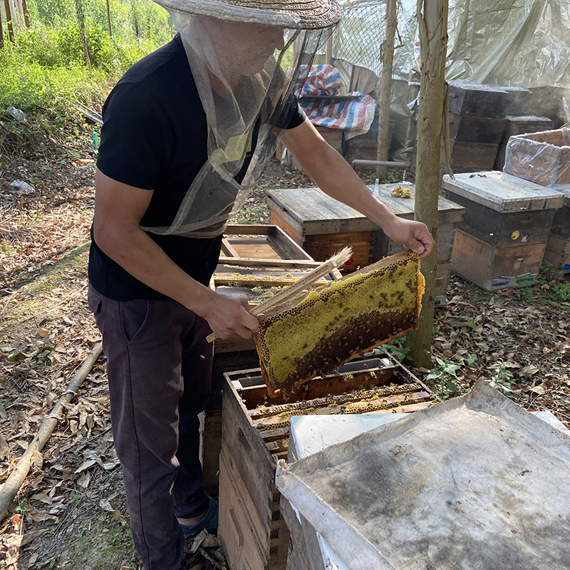 农家自产野生纯正天然薇甘菊山花百花蜂蜜无添加无加工土家蜂原蜜