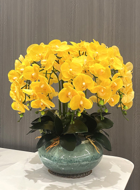 仿真花前台茶几玄关大型蝴蝶兰