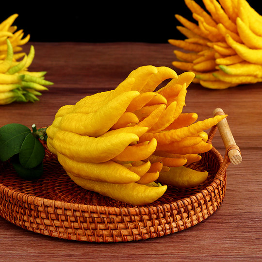 Freshly picked golden bergamot with branches and water to grow for ornamental purposes