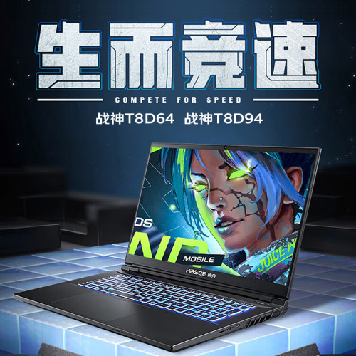Hasee/神舟 战神T8/Z8D6/S8/G8D6/Z7/RTX5060神州游戏笔记本电脑 - 图3