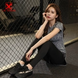 Демисезонная модная одежда для йоги, элитный спортивный костюм для спортзала, коллекция 2021, популярно в интернете