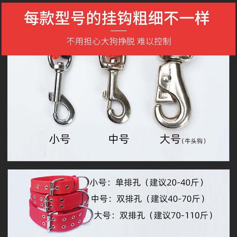 狗狗牵引绳大中型犬遛狗绳子金毛拉布拉多德牧狗炼 炼 子项圈宠物 - 图2