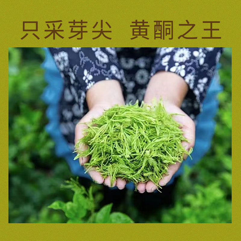 莓茶湖北恩施土家藤茶芽尖龙须茶50g小师姐评茶 - 图0