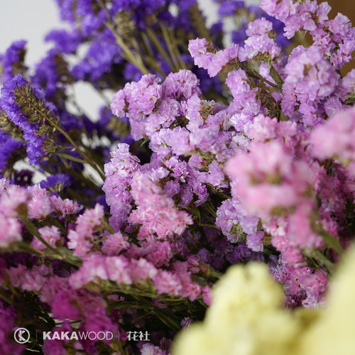 勿忘我干花真鲜花树枝艺术插花干枝diy客厅小清新装饰永生花束 - 图2