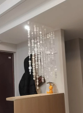 高品质镜贝片贝壳片贝母片云母片