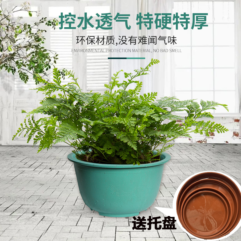 塑料花盆特大庭院种植果树盆景盆大码龙缸盆荷花盆大口径清仓包邮 - 图1