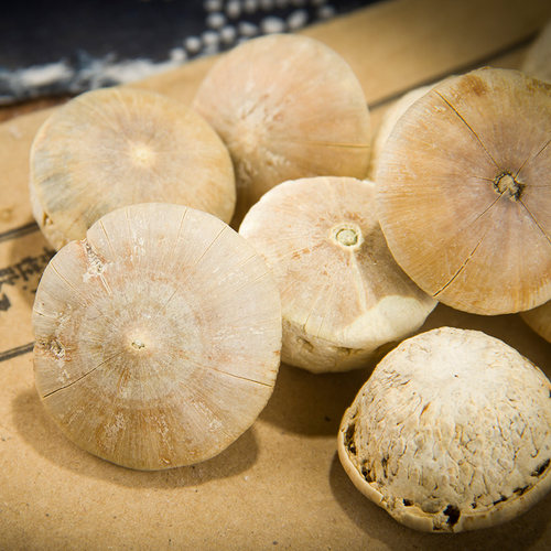 正品风流果 中药材新货龟头子500g  新货 阴阳子 双肾子包邮 - 图2