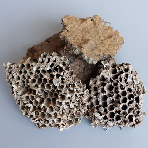 中药材 蜂房 露蜂房 马蜂窝 蜂巢 野蜂窝 黄蜂窝 500克包邮正品 - 图3