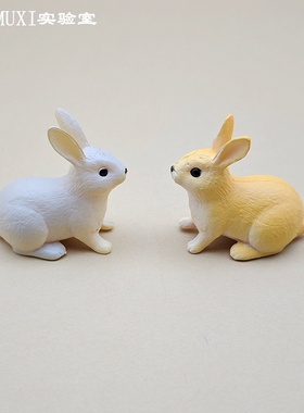 微缩摆件仿真兔子动物公仔 塑料玩偶手办模型DIY手工材料桌面装饰