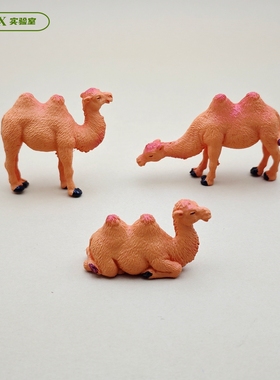微景观沙漠骆驼公仔仿真动物PVC卡通桌面装饰摆件 治愈情绪小玩偶