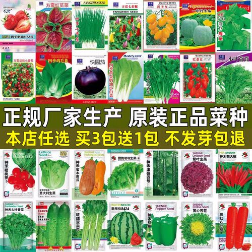 蔬菜种子大全四季阳台盆栽生菜黄瓜西瓜香菜韭菜豆角庭院菜籽种孑 - 图1