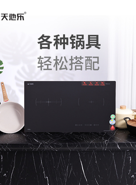 天地乐电灶快酷炉家用爆炒德国