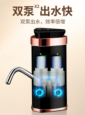 一年换新出水快双泵电动抽水器